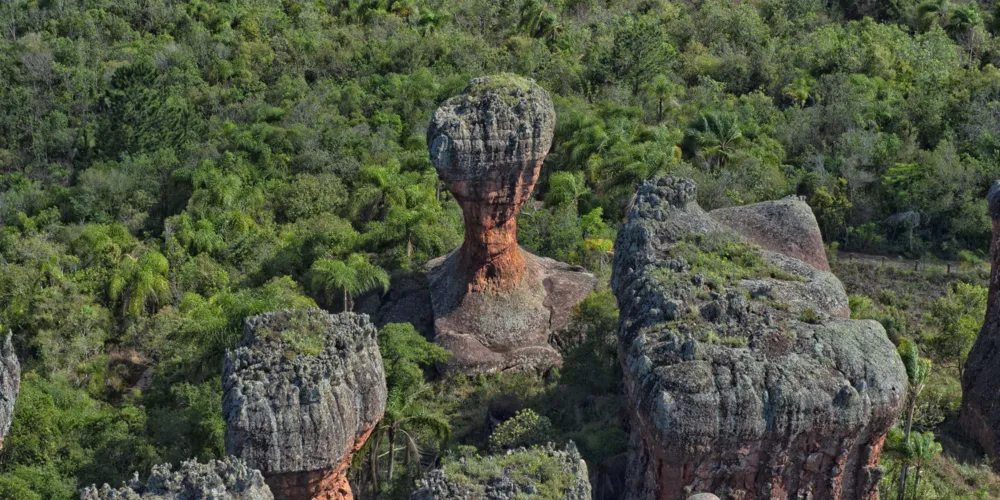 O tempo estará agradável do feriado do Dia do Trabalhador