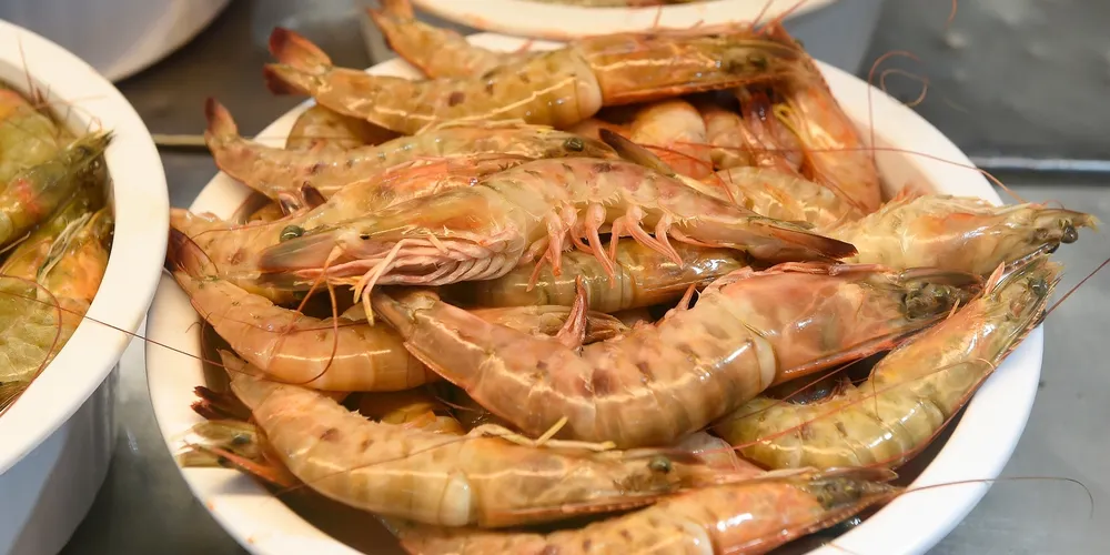 Embarcações paranaenses voltam a operar na captura de camarão após três meses de restrição para preservação das espécies