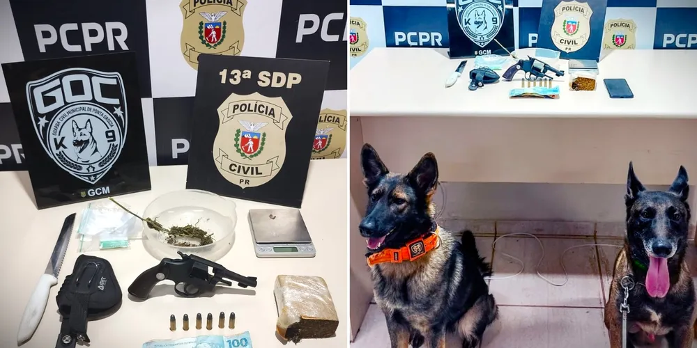 Operação teve o apoio dos cães da Guarda Civil Municipal