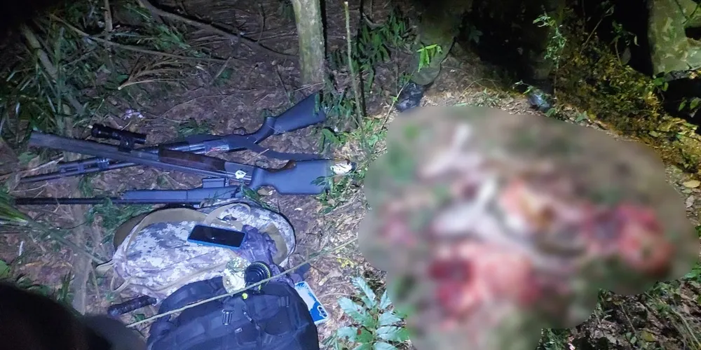 Os envolvidos foram presos pelo crime de caça ilegal; na imagem, as carcaças dos veados-mateiro e as armas utilizadas