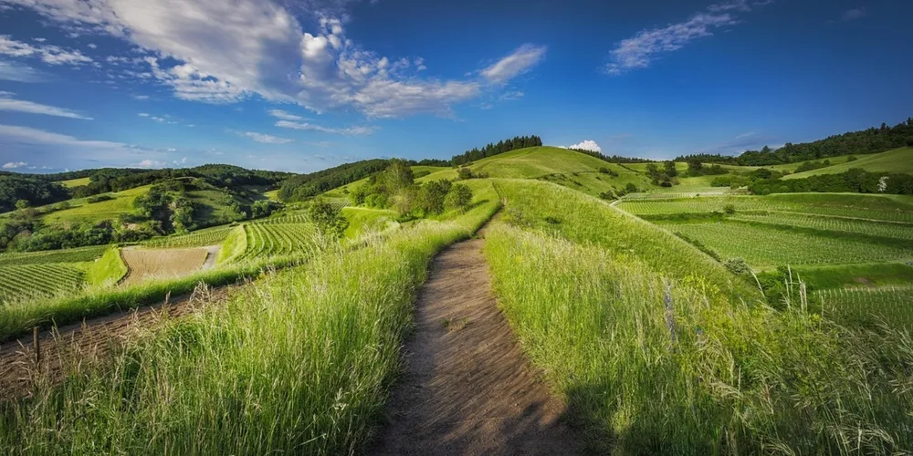 Instalação de calhas Parshall e calhas H permitiu aos pesquisadores quantificar com precisão a vazão de água e o arraste de nutrientes durante as chuvas