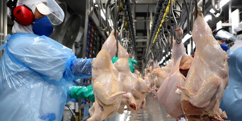 Investimentos em infraestrutura rodoviária e modernização logística foram fundamentais para facilitar o escoamento da produção paranaense e impulsionar as vendas interestaduais