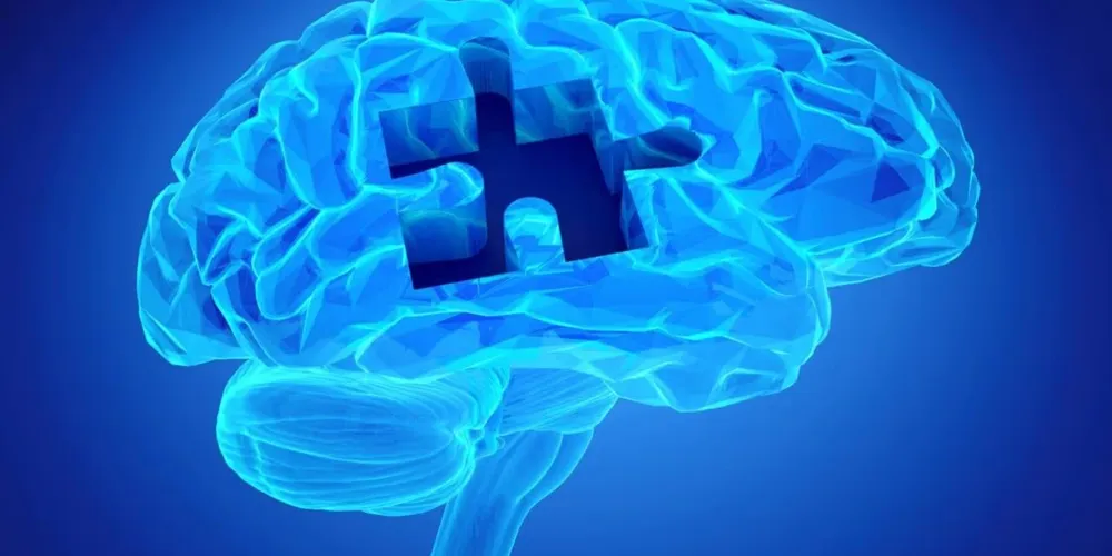 Os pesquisadores acompanharam 793 adultos, medindo seus níveis de vitamina D por volta dos 39 anos