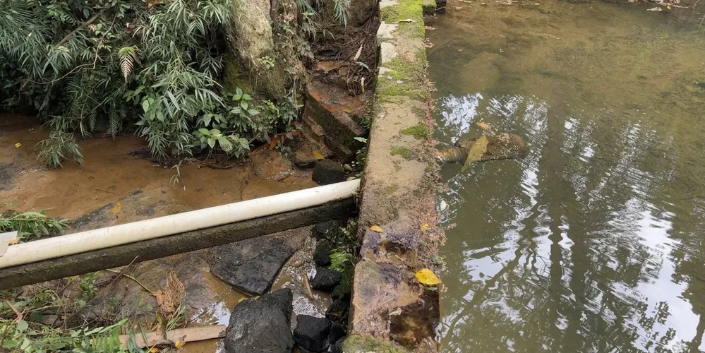 As Áreas de Preservação Permanente são zonas protegidas por lei