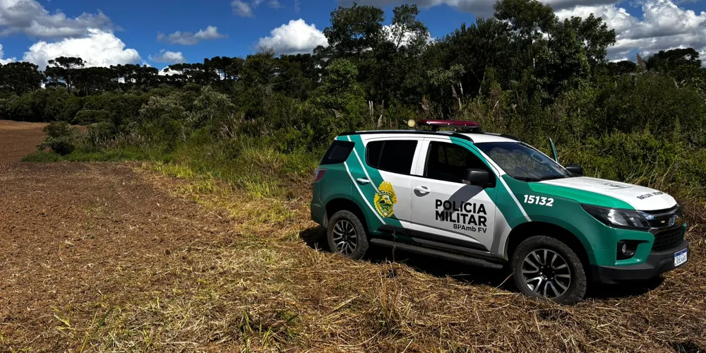 O embargo de áreas desmatadas é uma medida aplicada pelos órgãos ambientais para interromper atividades irregulares e permitir a recuperação da vegetação e do equilíbrio ambiental