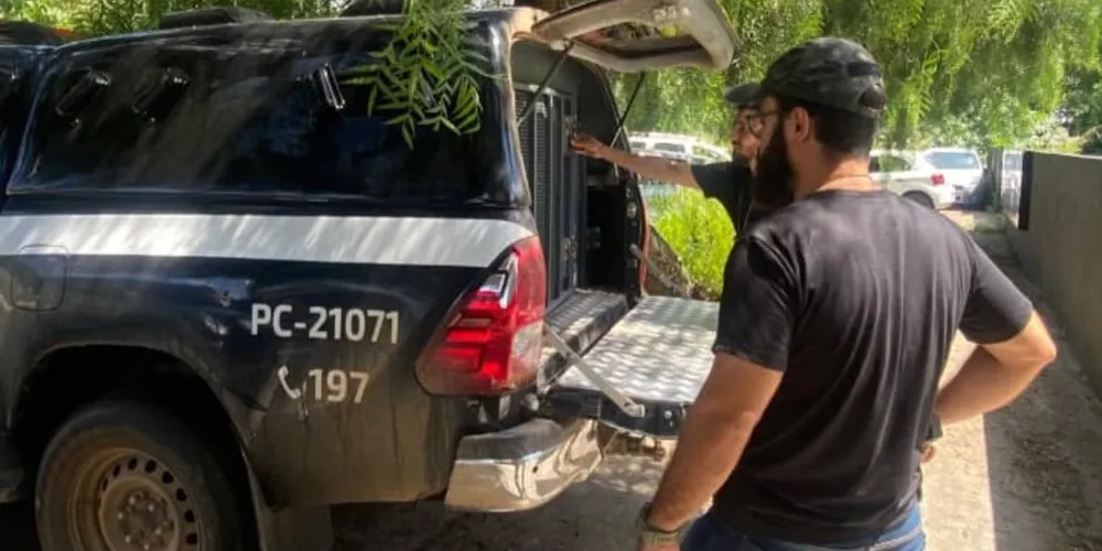 De acordo com o delegado Marcondes Ribeiro, a identificação foi possível após a análise das imagens das câmeras de monitoramento