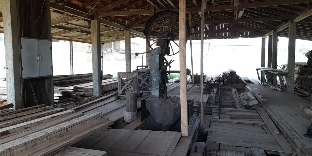 Os responsáveis não possuíam autorização para operar as serrarias nem para o corte das árvores