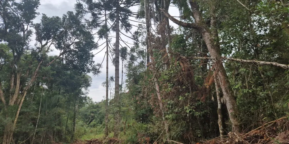 Além da multa de R$ 21 mil, a área foi embargada