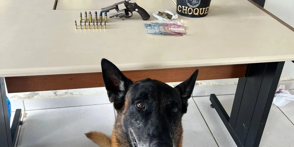 O cão de faro Bolt indicou o esconderijo, e os policiais encontraram um revólver calibre .32, várias munições de diferentes calibres