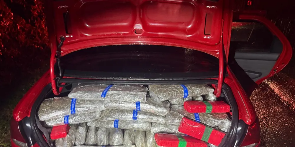 O motorista fugiu após o carro colidir contra um barranco no km 315