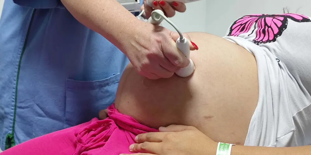 . Para viabilizar a oferta, o Estado investirá cerca de R$ 15 milhões por ano com recursos próprios.