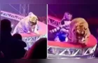 Tigre escapa e pula na plateia em circo; veja vídeo