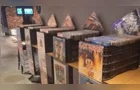 Feira de Vinil reúne expositores no novo Shopping Plaza Campos Gerais em PG