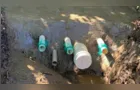 Reserva realiza limpeza e proteção de 20 nascentes