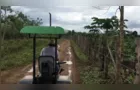 PR é destaque em ranking de empresas do agro e Expedição visita portos