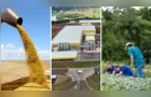Confira as principais notícias do agronegócio da manhã desta segunda em PG e região