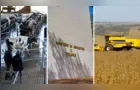 Confira as principais notícias do agronegócio da manhã desta segunda em PG e região