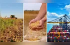 Confira as principais notícias do agronegócio da manhã desta quarta em PG e região