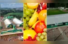 Confira as principais notícias do agronegócio da manhã desta sexta em PG e região