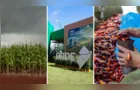 Confira as principais notícias do agronegócio da manhã desta quarta em PG e região