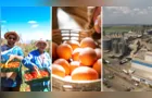 Confira as principais notícias do agronegócio da manhã desta quinta em PG e região