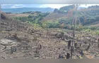 Polícia Militar Ambiental identifica desmatamento em Prudentópolis