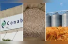 Confira as principais notícias do agronegócio da manhã desta quinta em PG e região