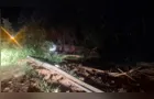 Motorista fica ferido após caminhão colidir contra defensa e tombar na PR-151, em Piraí do Sul