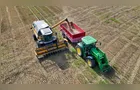 Colheita de soja no Brasil atinge 82% e plantio de milho safrinha chega a 99%