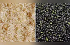 Colheitas de arroz e feijão avançam nas lavouras brasileiras