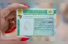 Câmara aprova MP da renovação automática da carteira de habilitação