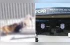 Dono de pitbull responderá por omissão de cautela após ataques a cães em PG