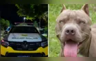 Pitbulls soltos atacam animais e mobilizam Polícia Militar em Ponta Grossa
