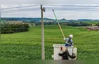 Energia elétrica consolida-se como insumo estratégico para o cooperativismo no PR