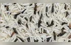 Governo destina R$ 70 milhões para garantir preço mínimo do arroz na safra 2025/2026