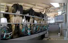 Leite e proteínas animais projetam cenário positivo no Paraná, aponta Deral