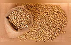 Margem da indústria de soja cresce com alta do óleo e matéria-prima barata