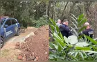 Mulher é encontrada morta com 15 facadas em área de mata de Araucária