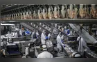 Paraná exportou frango para 150 mercados internacionais em 2025, maior patamar do País