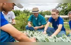 Paraná investe R$ 3,4 milhões em pesquisa para colégios agrícolas