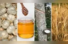 Paraná tem bônus de até 29% no Pronaf para 4 produtos em maio