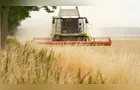 PIB do agronegócio salta 12% em 2025 e atinge marca de R$ 3,2 trilhões