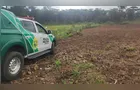 Polícia Ambiental autua desmatamento ilegal para cultivo de tabaco em Mallet