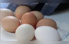 Preço dos ovos vermelhos dispara e diferença para o tipo branco supera 40%