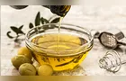 Produção de azeite brasileiro deve atingir marca histórica de 1 milhão de litros em 2026