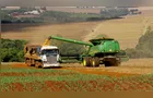 Safra de grãos no Paraná deve atingir 39,1 milhões de toneladas