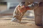 Safra de soja deve atingir recorde de 184,7 milhões de toneladas