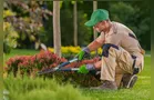Trabalhe como jardineiro em Ponta Grossa; confira as vagas desta segunda