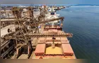 Soja e carnes lideram exportações nos portos do Paraná no 1º bimestre