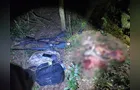 Três homens são presos por caça de veado-mateiro no Parque Vila Velha em Ponta Grossa